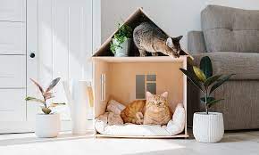 cat furniture design ideas for your