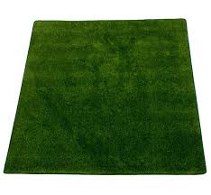dark green large rectangular rug by