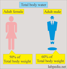 body fluids their importance and risk