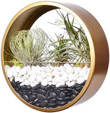 6 gold round glass wall planter wall