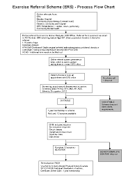 Exercise Referral Scheme Ers Process Flow Chart