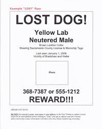 Missing Dog Flyer Template Kb Digital Printing 298225512027 Found