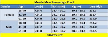 Everything About Muscle Mass Percentage With Charts