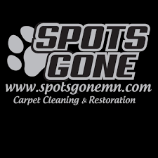 carpet cleaning in woodbury mn
