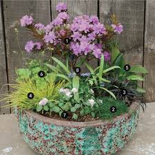 A Jewel Box Garden Container For Shade