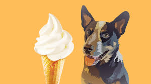 verdict can dogs eat vanilla ice cream