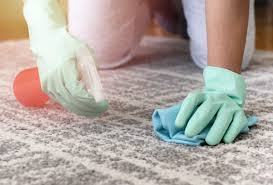 how to get rid of carpet stains quickly