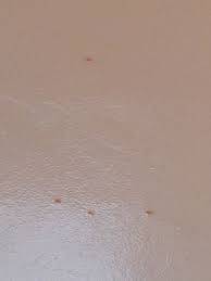 spots on bathroom ceiling mold on