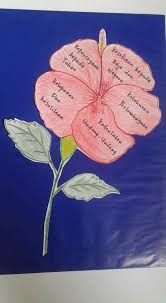 Bunga kebangsaan sebagai aktiviti tambahan kepada pelajar. Lukisan Bunga Raya Bunga Kebangsaan Cikimm Com