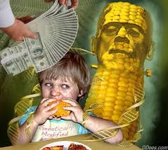 Resultado de imagen de OGM(Organismos Genéticamente Modificados) alerta Mundial
