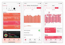 Set Up Apple Health App To Meet Your Custom Fitness Goals