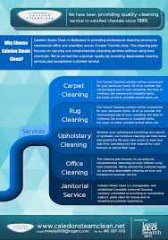 caledon steam clean infographic office