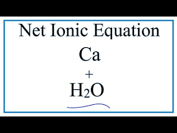 Net Ionic Equation For Ca H2o Ca Oh