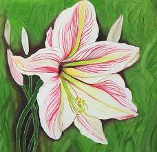 Lily Flower In Poster Color On Paper