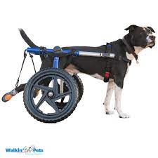 dog wheelchair walkin wheels dog