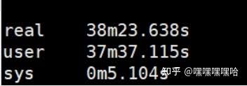 parallel fastq dump处理sra文件