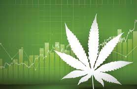 cannabis investing