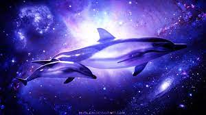 Baby Pink Dolphin Wallpapers - Top Free ...