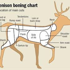Know The Cuts Of Venison George Herald