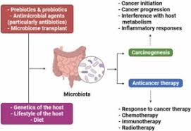 microbiome in cancer role in