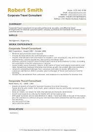 corporate travel consultant resume