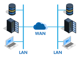 what is wan and how does it function