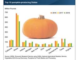 Most Us Pumpkins Are Produced In Just 10 States