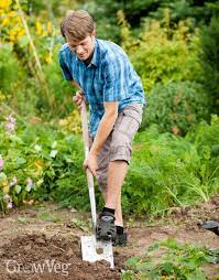 No Dig Gardening An Easier Way To Grow
