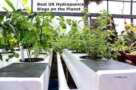 top 10 uk hydroponics blogs and