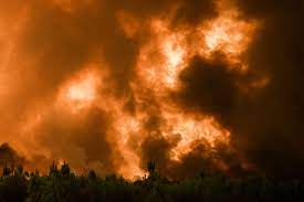 Plus de 7 400 hectares brûlés en Gironde, les renforts européens arrivent,  situation «préoccupante» des nappes phréatiques en juillet... L'essentiel  de l'actualité de ce 10 août – Libération