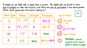 identifying what blood group a person