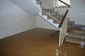 Flooded Basement Cleanup In Detroit