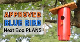 Blue Bird Nest Box Plans Approved Pvc