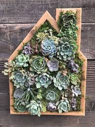 Succulent Vertical Garden Arrangement