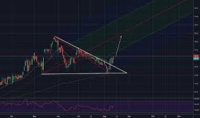 Borg Stock Price And Chart Omxsto Borg Tradingview