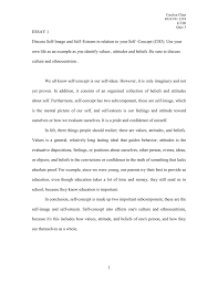 essay  carolyn chan huc101 1219 4 3 06 quiz 3 essay 1 discuss self image and self esteem in relation to your self concept ch3 use your own life as an example