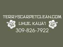 carpet cleaning bloomington il 61701