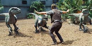 How did he get into his tough guy. Chris Pratt Creates Jurassic World Raptor Scene At Children S Hospital Time