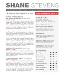 The Shane Resume