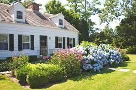 best flowering bushes to boost curb appeal