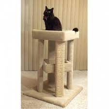 carpet wooden cat furniture for large cats