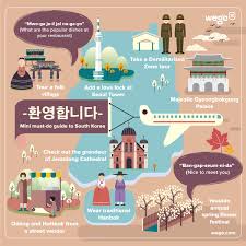 mini must do guide to korea visual ly