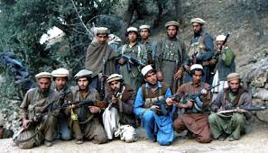 Афганская война (1979—1989) (пушту په افغانستان کې شوروی جګړه‎‎, перс. Afganskie Modzhahedy Vikipediya