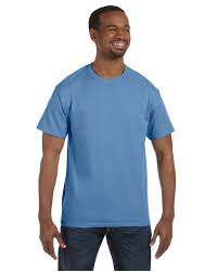 Hanes 5250t Mens Tagless T Shirt Comfortsoft 100 Cotton