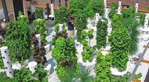 There S A Vertical Aeroponic Garden For