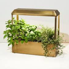 Modern Sprout Growhouse For Indoor