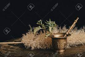 ブルンダンガとも呼ばれるストラモニウム植物。意識を消す植物。の写真素材・画像素材 Image 177988804