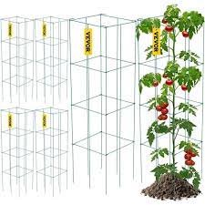 tomato cages