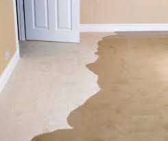 how to re water damaged carpets