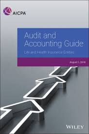 Audit And Accounting Guide Life And Health Insurance Entities 2018 Nook Book